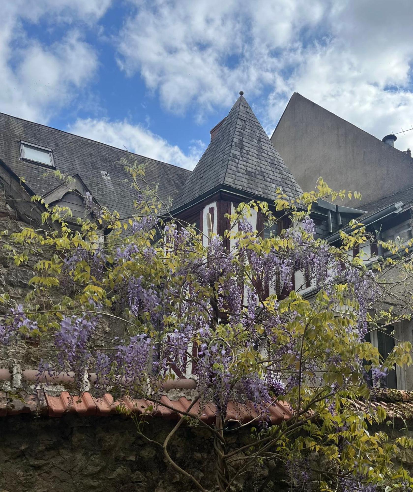 Châtel Rose Blois Exterior foto